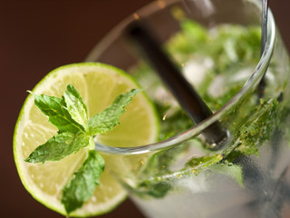 Cocktails Collection - Mojito