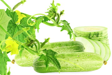cucumber with slice