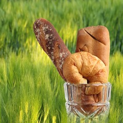 croissant brad bakery in glass blow green barley field