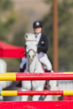Rider Horse Gate Poles Show Jumping 