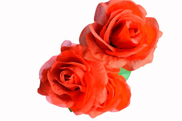 Artificial red roses isolated on white background