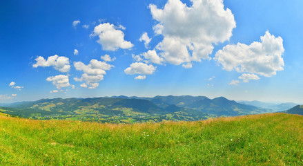 Obraz premium Green meadow