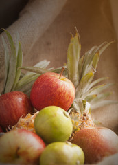 Organic Fruit variety with soft light background , healthy concept