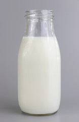 Got Milk?