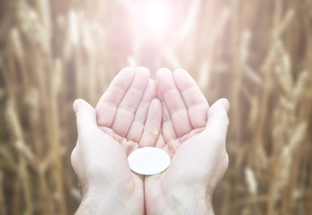 Male hands holding a eucharist with ears of corn in the field and sunset in the background