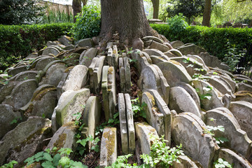 The Hardy Tree in St Pancras Old Churchyard
