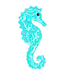 sea horse 