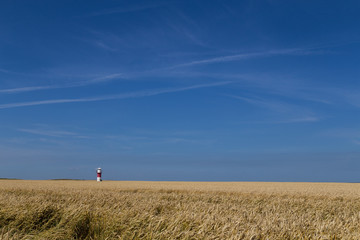 Lighthouse in the fields