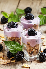 Homemade granola with yogurt and blackberry, healthy breakfast,
