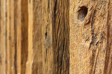Old timber wood background