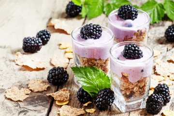 Homemade granola with yogurt and blackberry, healthy breakfast,