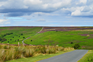 North York Moors landscape, Yorkshire, England