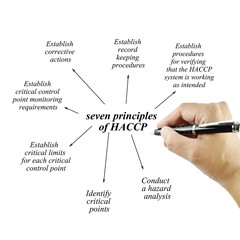 Obraz premium Woman hand pointing element of HACCP principle on white backgrou