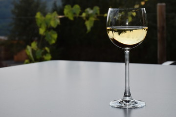 Weißwein im Glas, auf grauem Tisch, Hintergrund grün