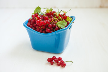 red currant in ceramic ware