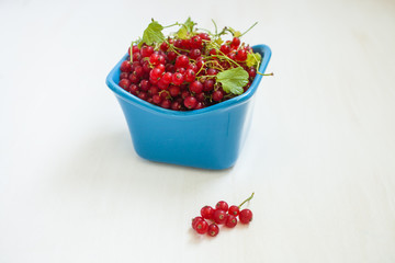 red currant in ceramic ware
