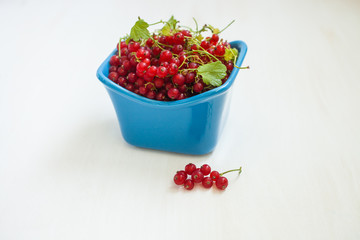 red currant in ceramic ware