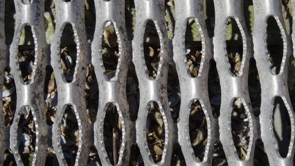 Fototapeta premium Metallgitter