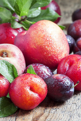 Colorful plums and peaches, still life, selective focus