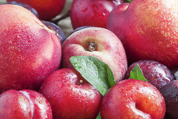Colorful plums and peaches, still life, selective focus