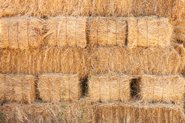 Hay sack