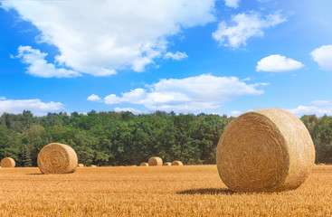 heuballen auf dem feld