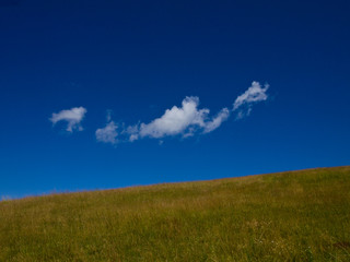 Nuvola bianca con cielo blu e prato verde