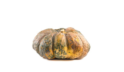 Pumpkin on white background