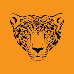 Naklejka premium Leopard, jaguar