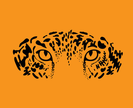 Leopard, jaguar