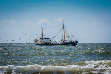 Fischkutter auf Fang an der Nordseeküste