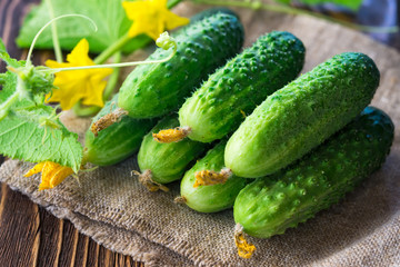 cucumbers on the wooden background