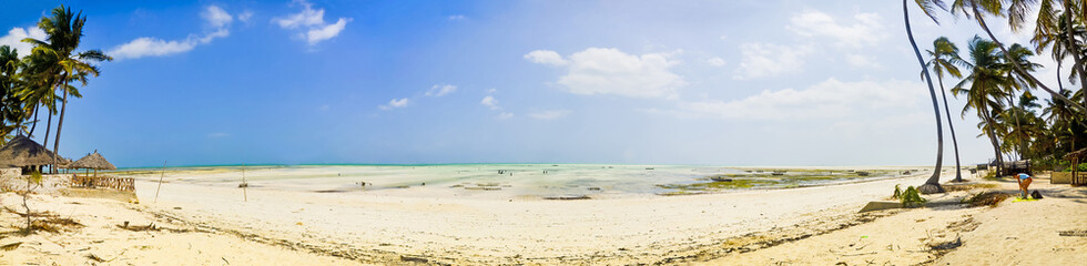 Fototapeta na wymiar The Coastline on Zanzibar