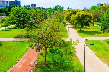 Naklejka premium View on Turia garden in Valencia, Spain