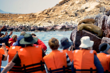 Tourists watching for fur seals, Ballestas, Peru