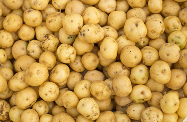 Papa criolla o amarilla