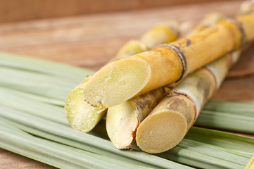 Sugar cane on wood background.