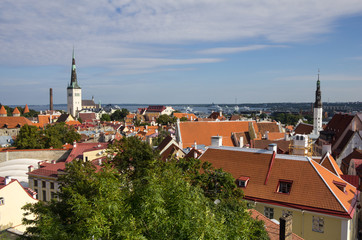 Obraz premium Old Tallinn