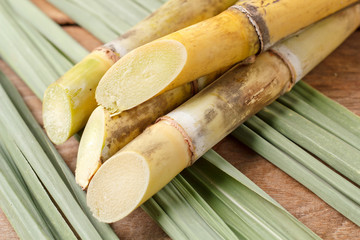 Sugar cane on wood background.