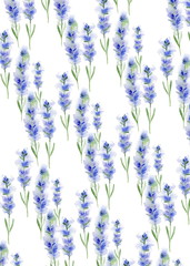Watercolor pattern of lavender