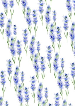 Watercolor pattern of lavender