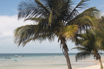 Fototapeta na wymiar The beach of the small town of Vilanculos in Mozambique with palm trees 