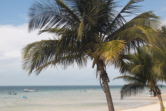 The beach of the small town of Vilanculos in Mozambique with palm trees
