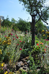 Bauerngarten mit Gartenpumpe