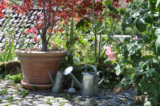 Gartenidylle mit Blumentöpfen und Gießkanne 