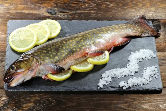 garfertiger Saibling auf Schieferplatte