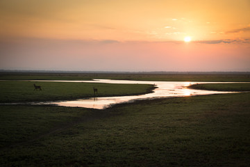 Sunset over the National Park Gorongosa in the center of Mozambique
