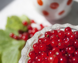 Berries on the table