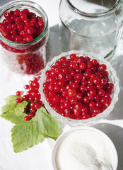 Berries on the table