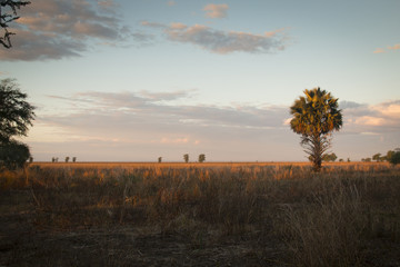 Sunset over the National Park Gorongosa in the center of Mozambique